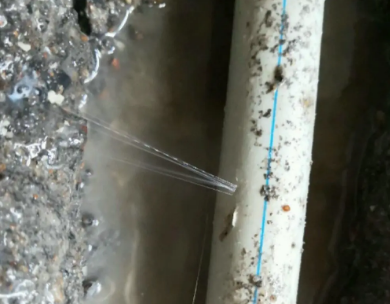 阳谷测漏水哪家好