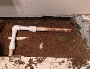 阳谷测漏水哪家好