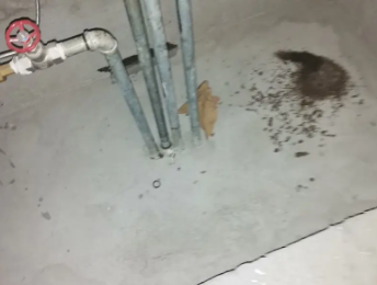 阳谷卫生间测漏水价格明细