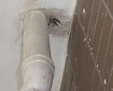 阳谷漏水检测哪家好